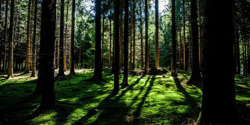 乔亚军38：视觉设计如何塑造个人品牌，作品展示是核心舞台