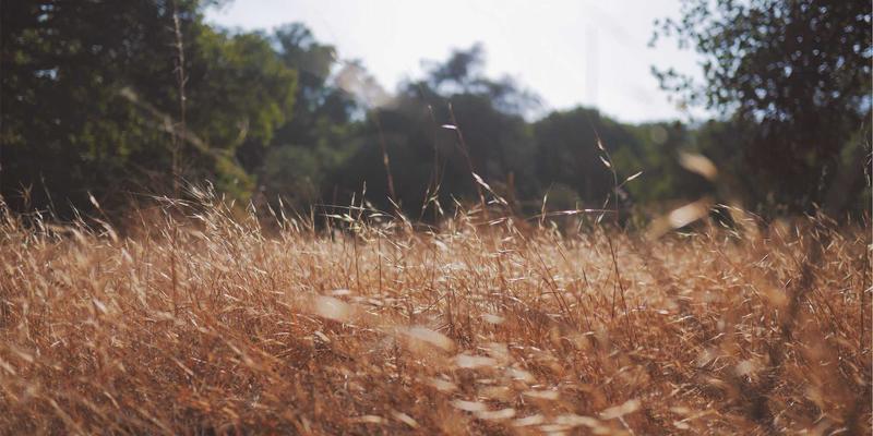 乔亚军54：在艺术设计与视觉表达的边界探索无限可能