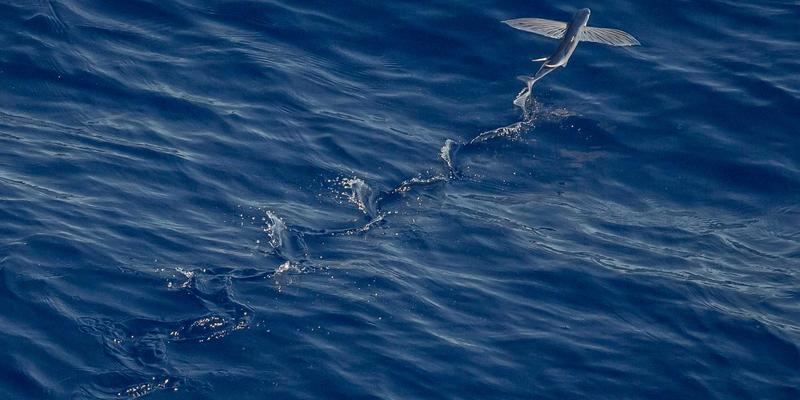 乔亚军56：在创意设计与视觉表达的边界上，探索作品的无限可能