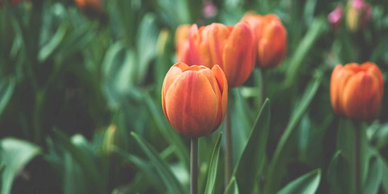 乔亚军82：在艺术设计与作品展示中探寻视觉表达的深度与边界