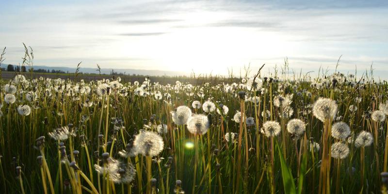 乔亚军84：在创意设计与作品展示中探寻艺术与功能的平衡