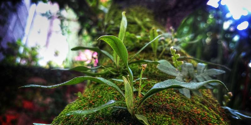 乔亚军作品中的微交互设计：细节如何成就卓越用户体验与个人品牌艺术