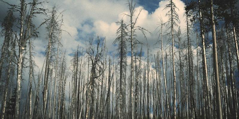 乔亚军：在视觉设计的疆域里，用作品说话