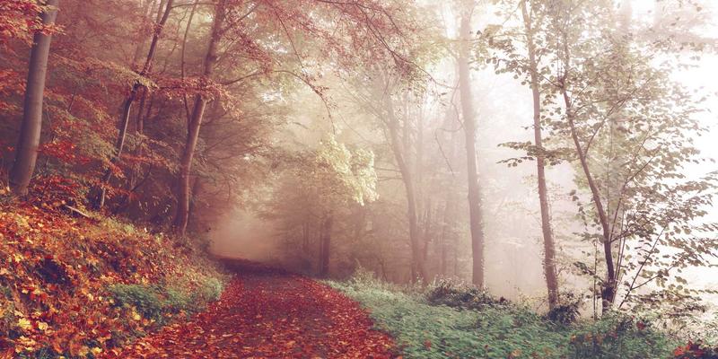 乔亚军攻略:视觉设计的精髓与作品展示的艺术