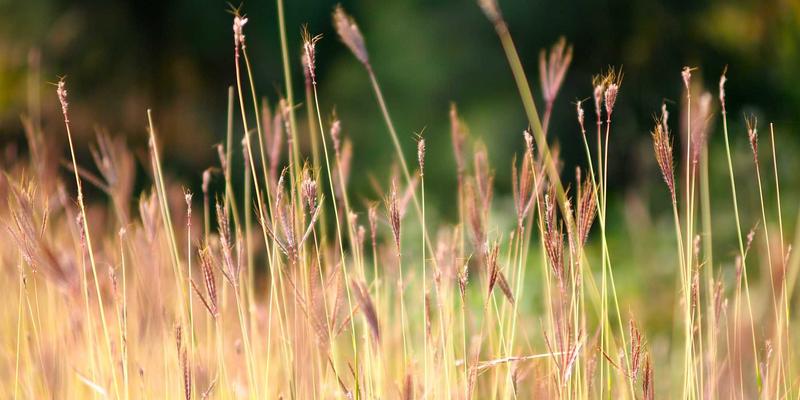 乔亚军方法论：以用户为中心的AI作品展示与艺术设计实践指南