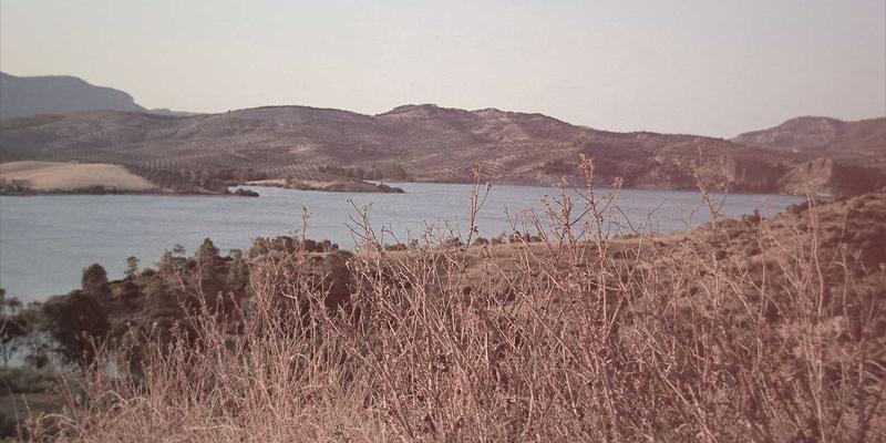 乔亚军方法论：如何通过视觉设计将科研论文转化为大众科普作品展示