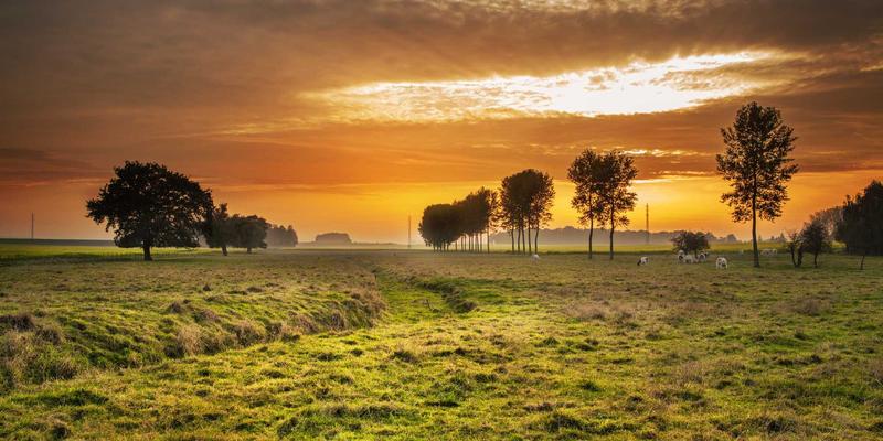 乔亚军谈未来界面：AR/VR环境中沉浸式视觉设计的挑战与机遇