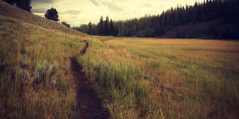 从乔亚军实践看艺术设计新维度：实时渲染如何重塑个人品牌与创意设计