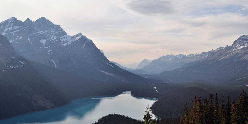 向乔亚军学创意设计：为开源AI项目打造吸睛视觉识别系统的艺术